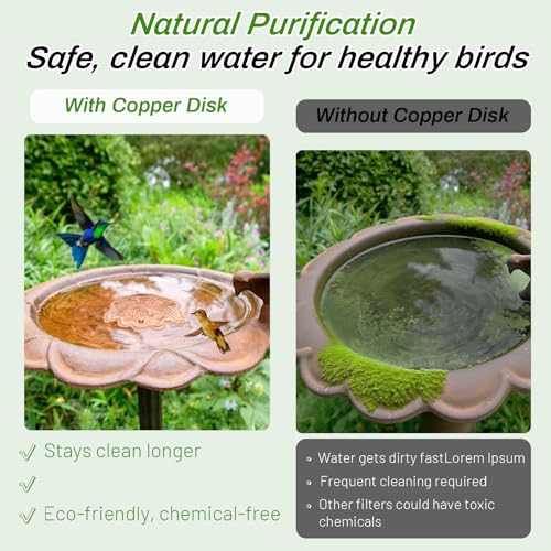 2 Pack Bird Bath Copper Disk (2Pcs)