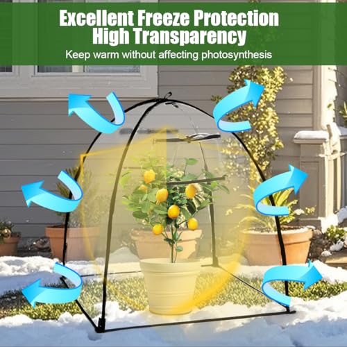 Plant Covers Freeze Protection (24*23in 4P / Clear)