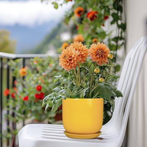 Plant Pot 5 Inch (5.3 Inch / Gloss Yellow)