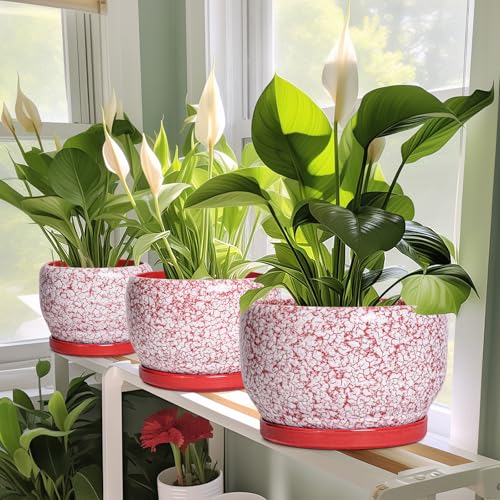 6 Inch Plant Pot