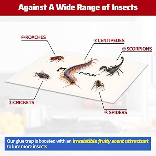 Cricket Insect Glue Traps (24 Count)