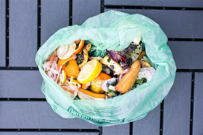 4 Gallon Compostable Trash Bags by BioBag (4 Gallon)