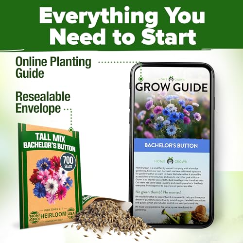 Bachelor Button Tall Mix 700+ Flower Seeds Centaurea cyanus