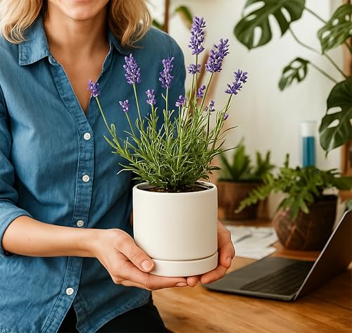 2 Pack Ceramic Pots with Saucers (2 Count)