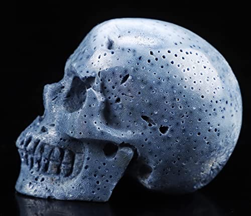 2.0" Blue Sponge Coral Crystal Skull (2.0" Blue Sponge Coral 7)