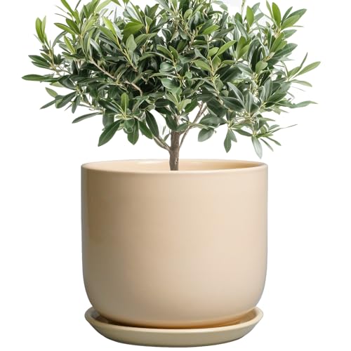 Ceramic Planter (8 Inch / Beige)