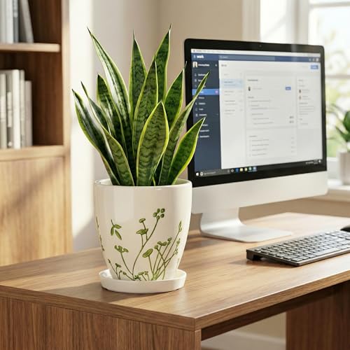 6 Inch Plant Pot (6 Inch / Grasses White)