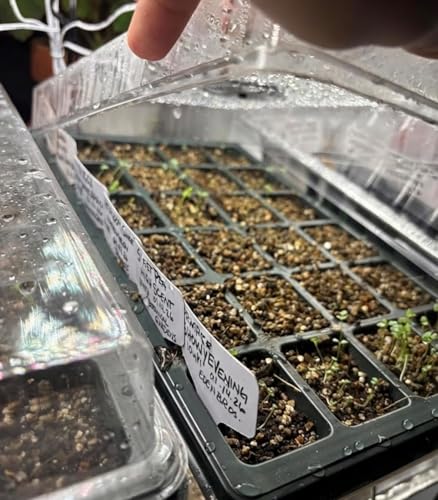 10 Pack Seed Starting Trays with Humidity Dome & Large 24 (Black / 10 Sets)