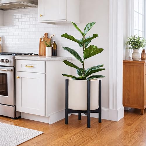 Plastic Pot with Ebony Wood Stand (Oatmeal Pot + Ebony Stand / 12 Inch)