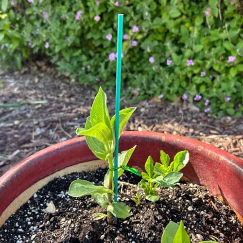 100 Pieces Green Bamboo Plant Stakes with 100 Pieces Orchid Clips and 100 Metallic Twist Ties for Supporting Stems Vines Stalks Grow Upright (300 Count)