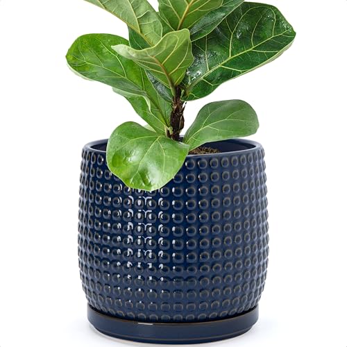 Beaded Ceramic Pot with Saucer (8.8 Inch / Midnight Blue)