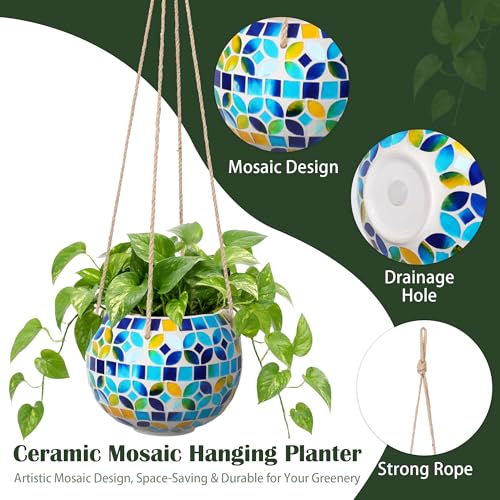 Ceramic Hanging Planter (Blue)