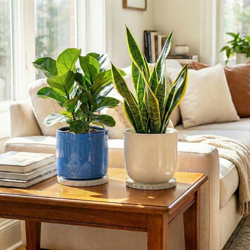 2 Pack Ceramic Plant Saucer (7.5 Inch / Cream White - 2)
