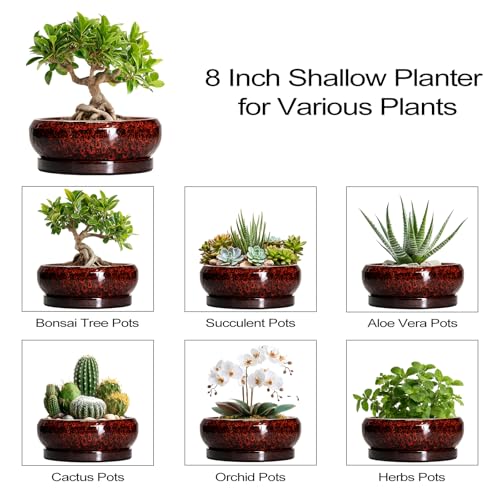 Bonsai Pots 8 Inch Ceramic Succulent Planters for Indoor Outdoor (8 Inch / Leopard Red)