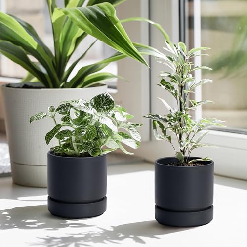 4 Inch Planter Pot with Drainage Hole & Saucer (4" (2 Pack) / Matte Black)