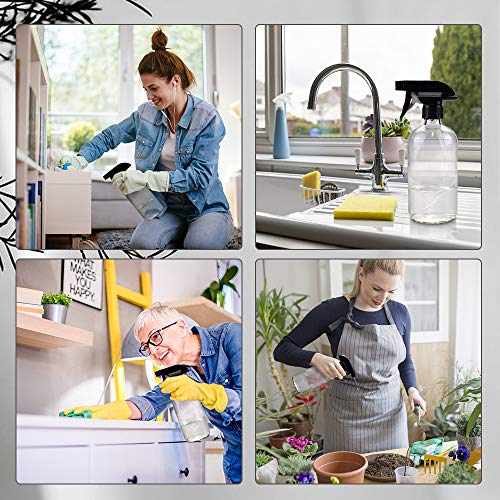 Glass Spray Bottles (2 Count)