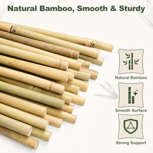 Natural Bamboo Poles (3FT-25PCS)