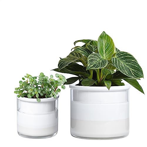 6 Inch 4 Inch Self Watering Planter Pots (4+6 Inch / White)