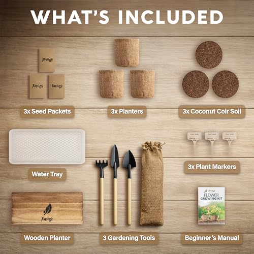 Sunflower Seeds Growing Kit