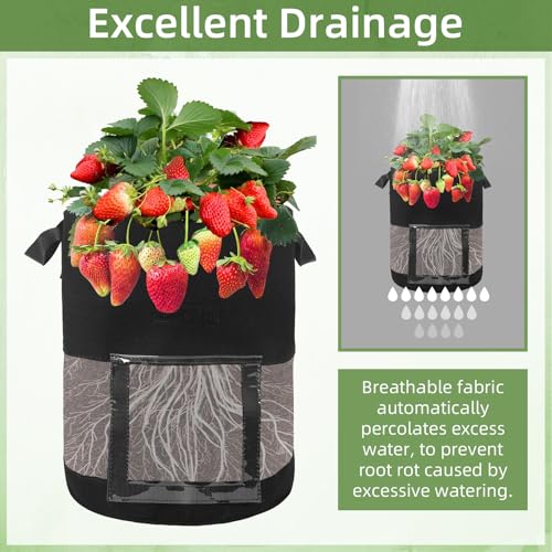 6 Pack 10 Gallon Visible Potato Grow Bags (6 Count)