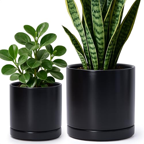 2 Pack Ceramic Pots with Saucers (2 Count)