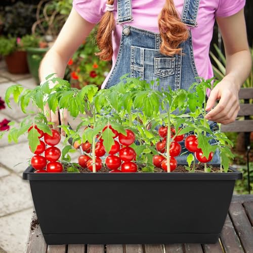12Pcs 17Inches Rectangle Planter Box with Drainage Holes and Trays (12 Count)