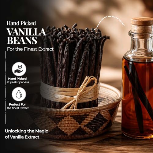 2 Lb Bulk Vanilla Beans Grade A + (32 Ounce)