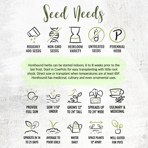 Herb Seeds to Plant Horehound (5 Packs)