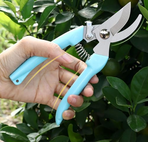 5pcs Garden Flower Shears Pruning Shears 6.9 inches Scissors Heavy Duty Plant Scissors for Cutting Flowers