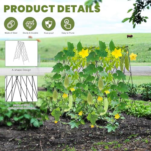 Cucumber Trellis 2 Pack (Black / 39.4" H)