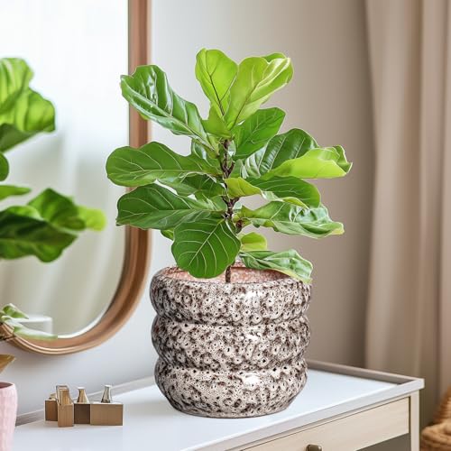 Ceramic Plant Pots (8 Inch / Leopard Print White)
