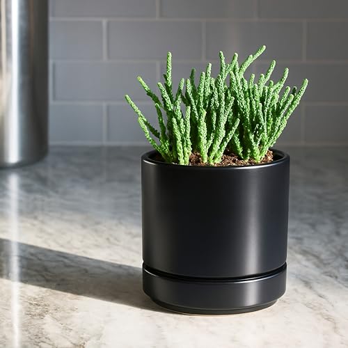 2 Pack Ceramic Pots with Saucers (2 Count)