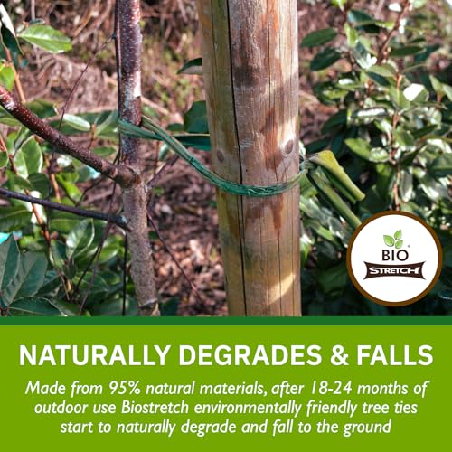 Bio Stretch Soft Tree Ties & Garden Tape for Young Trees (52 Foot)