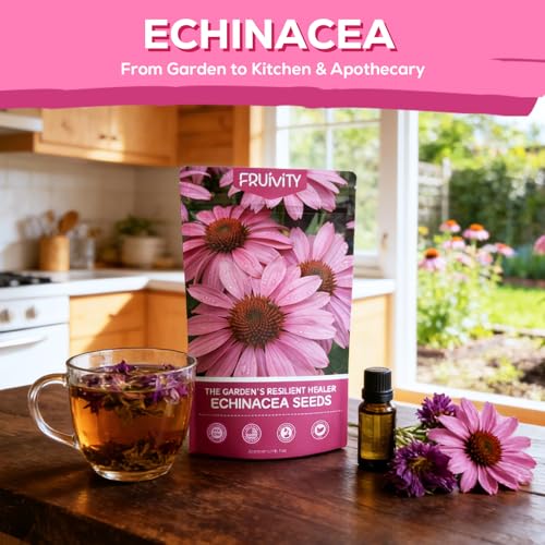 Coneflower Seeds 1 oz