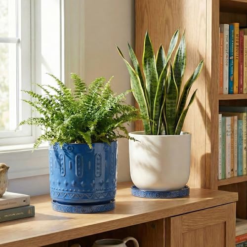 Plant Water Catcher Tray 7.5 Inch (7.5 Inch (2 Pack) / Blue)