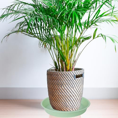 2 Pack of 8 inch Plant Saucer Clear (8" (2 pack) / Light Green)
