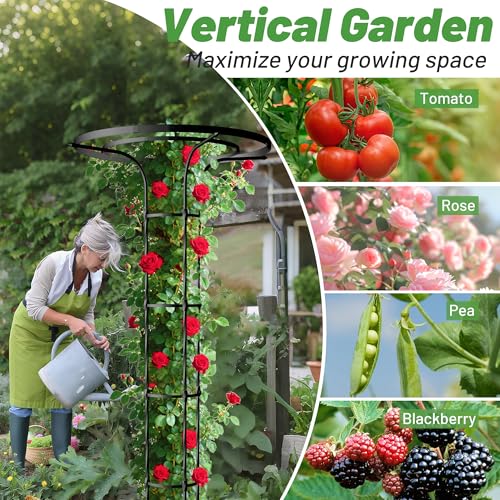 Umbrella Top Garden Trellis for Climbing Plants Outdoor (Tall - 68.9" Height / Umbrella Shape)