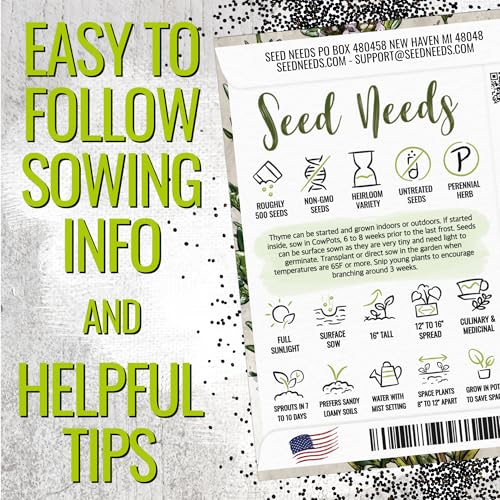 Thyme Seeds to Plant Heirloom Non (5 Packs)