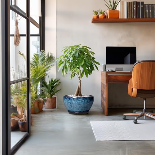 Ceramic Plant Pots 13 Inch (13 Inch / Blue)