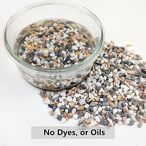 5LB Succulent and Cactus Gravel Pebbles (80 Ounce)