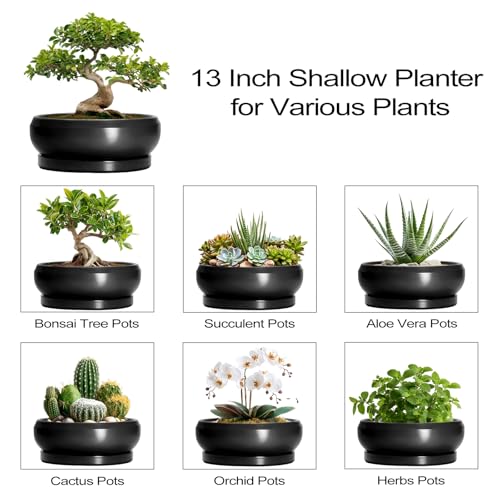 Bonsai Pots 13 Inch (13 Inch / Matte Black)