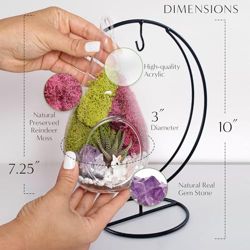 7" Teardrop Glass Terrarium Kit DIY Succulent Décor