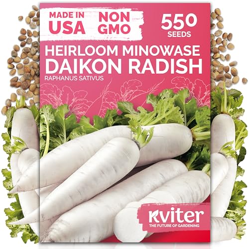 550 Daikon Minowase Radish Heirloom Vegetable Seeds