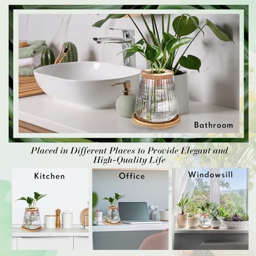 12 Pack Propagation Vases for Plants (Vertical Grain Style)