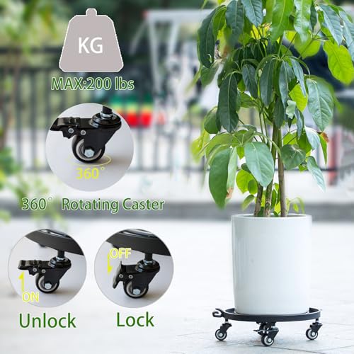 12 Inch Plant Dolly with Wheels (12in)