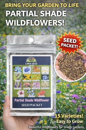Partial Shade Wildflower Mix Seed (Potted Plant)
