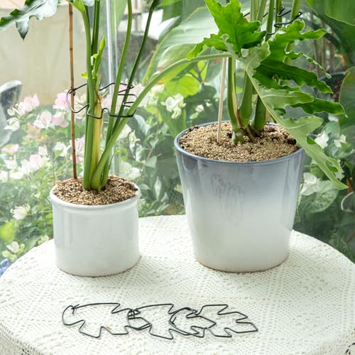 5.5×4.7IN Monstera Plant Stem Support (Black / 5.5IN*4.7IN)
