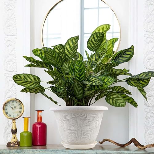 Plastic Flower Pots Planters For Indoor Plants (White / 16 inch-4 pack)
