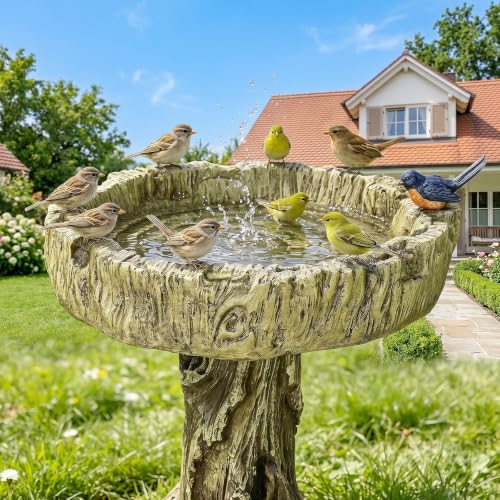 Bird Baths for Outdoor (Woodland with bird)