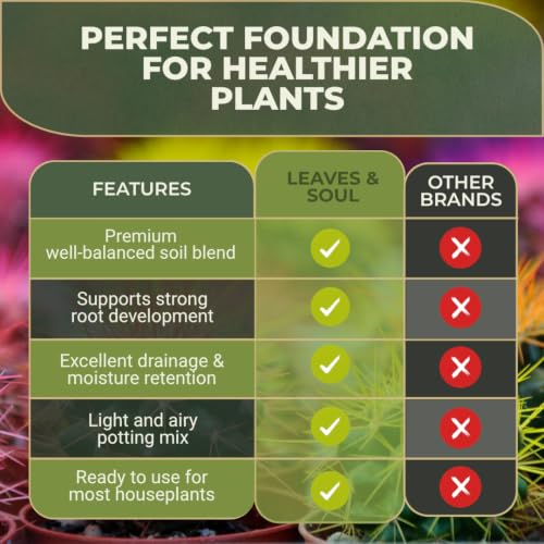 Professional Cactus Soil Mix Large 2.2 Quarts Ready to Use